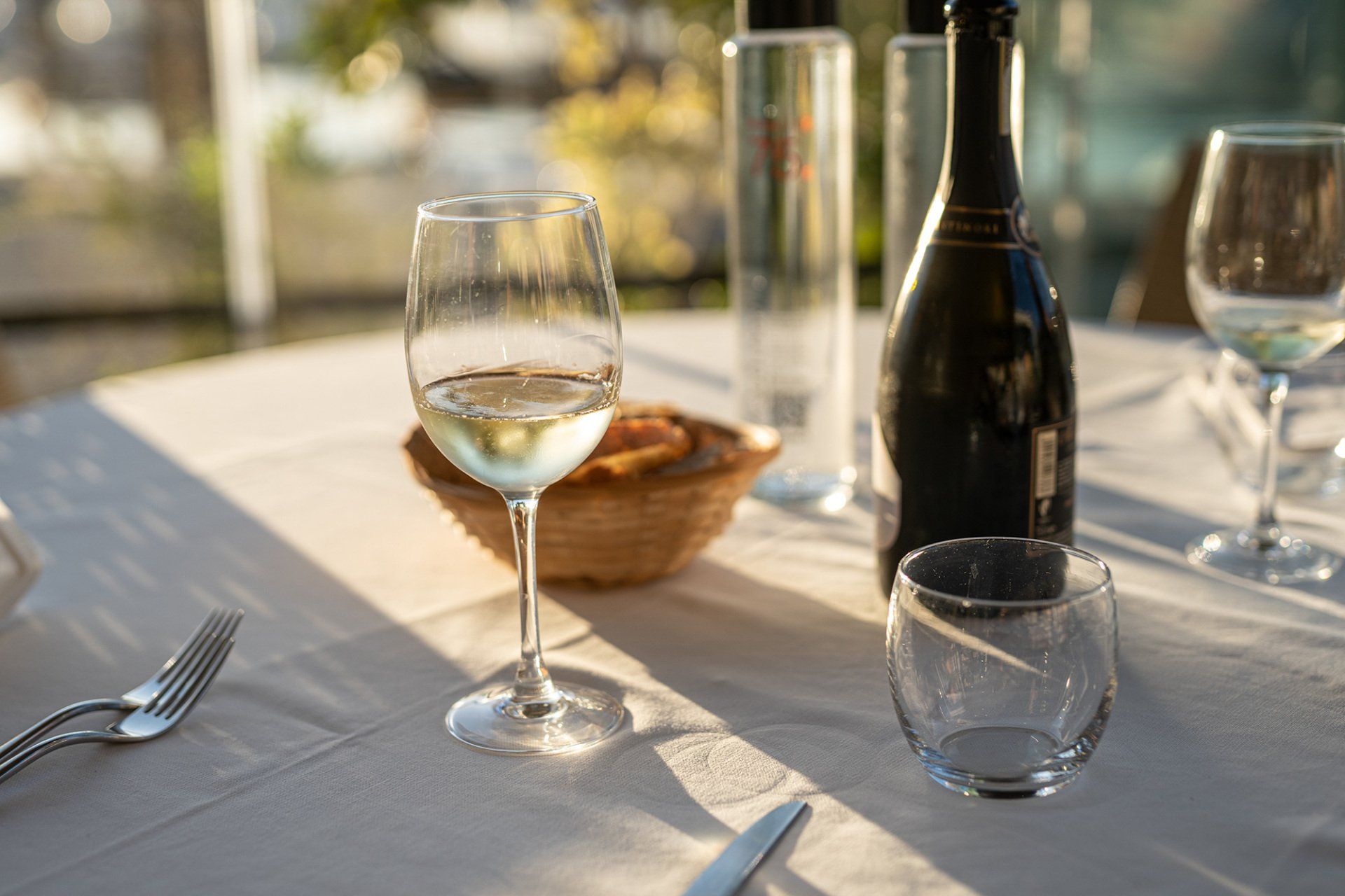 vino bianco