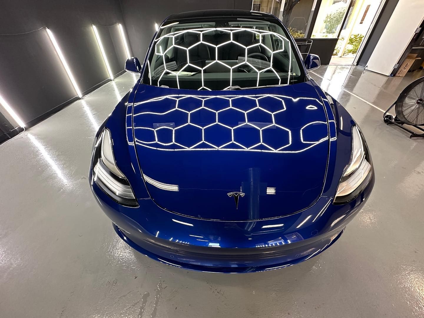 Paint Protection Film Services