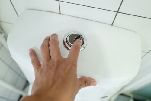 toilet repair freeling SA 5372