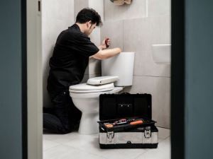 toilet repairs