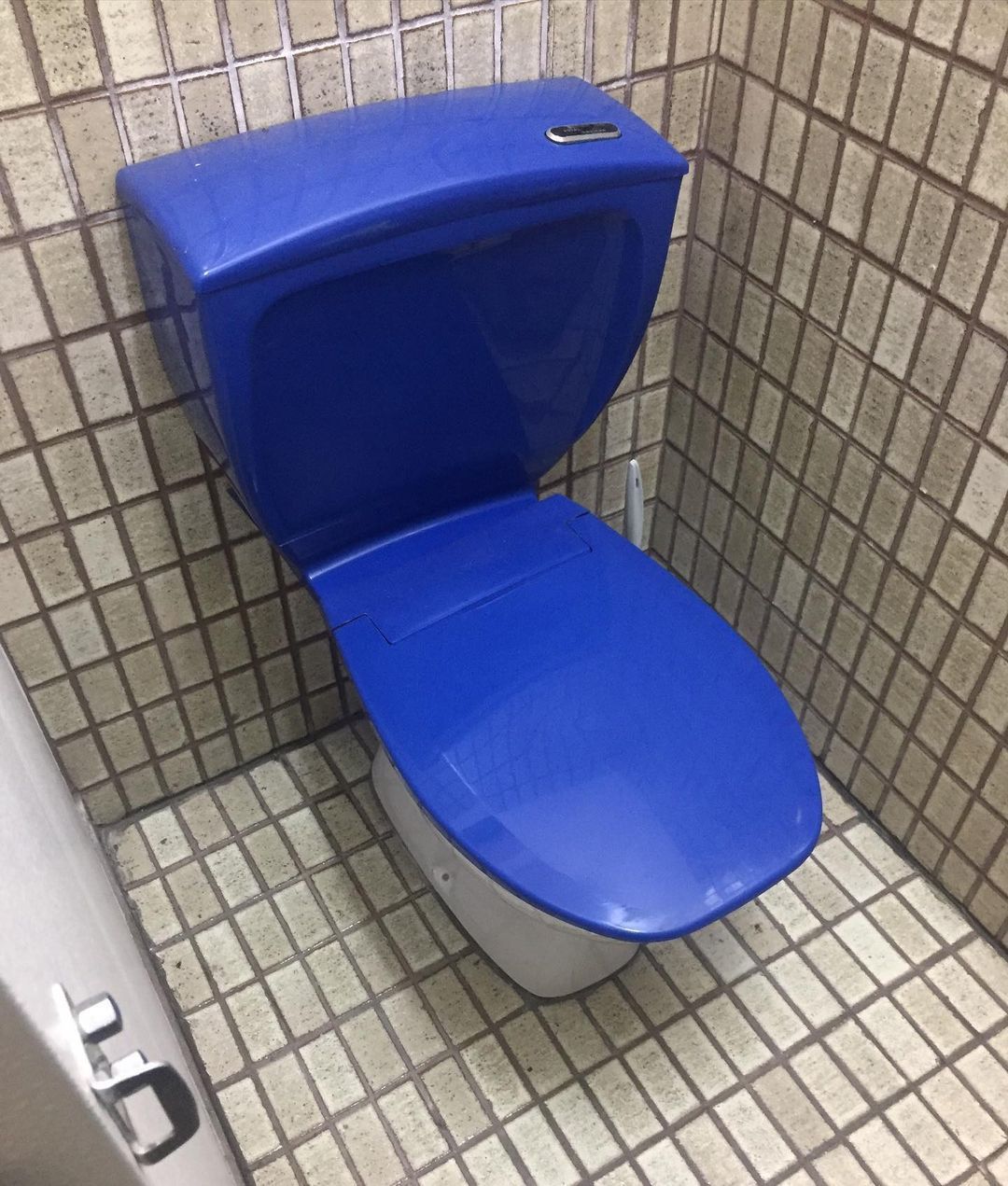 toilet repair services in Black Forest