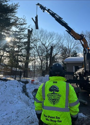 Worker in neon jacket watches a crane lift debris beside snowbanks and bare trees in winter.