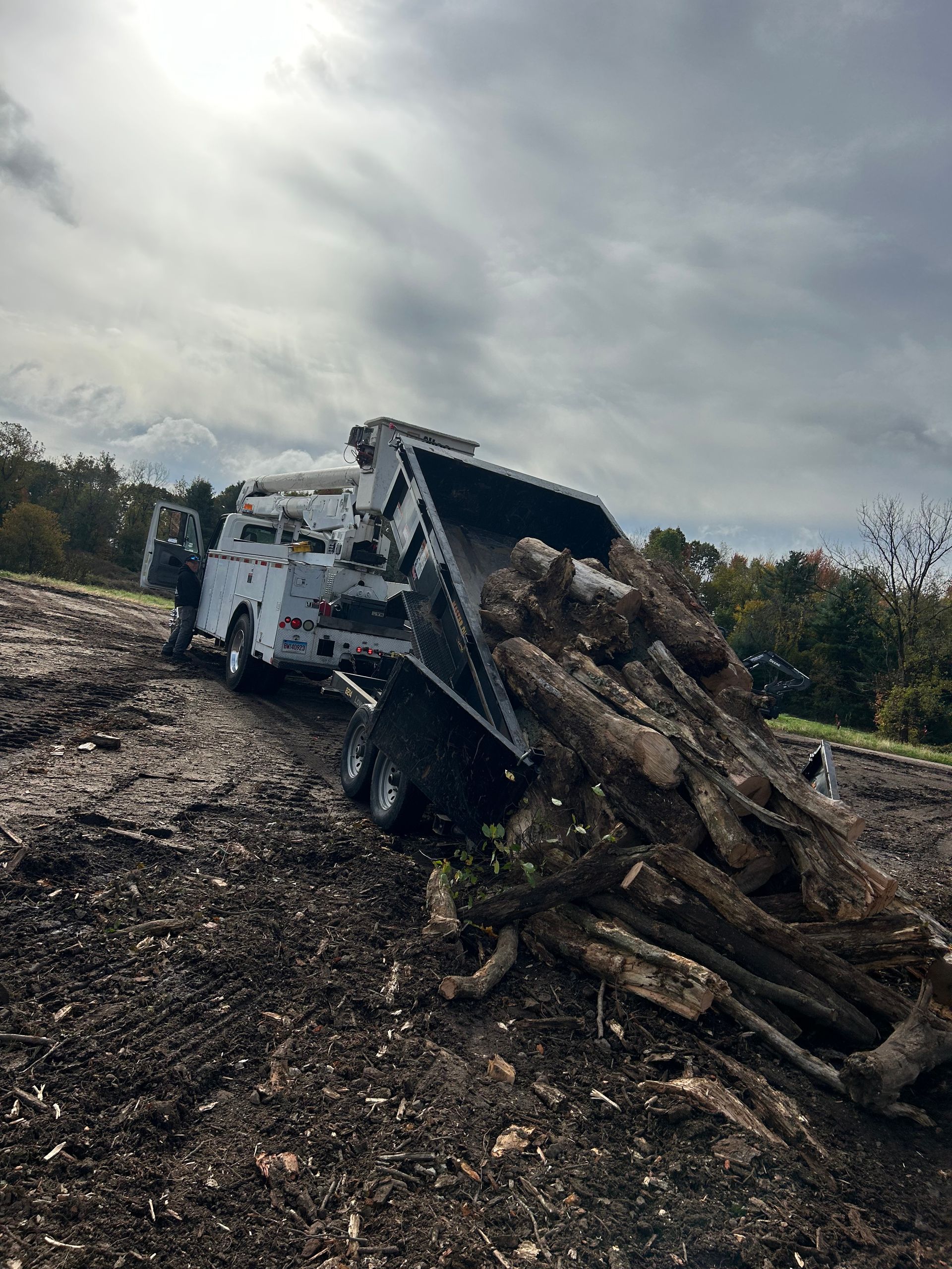 White dump truck tipped on a muddy dirt road, spilling a load of logs under a cloudy sky