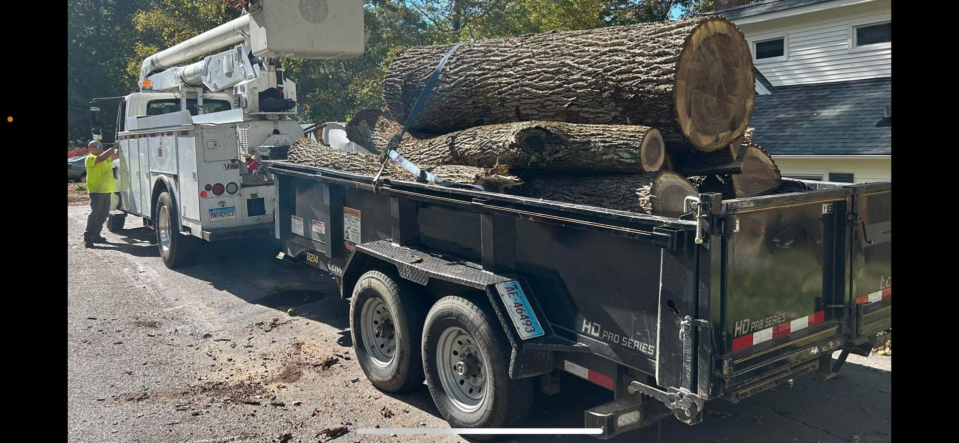 Utility truck loading large cut logs roadside, with workers and a crane in the background