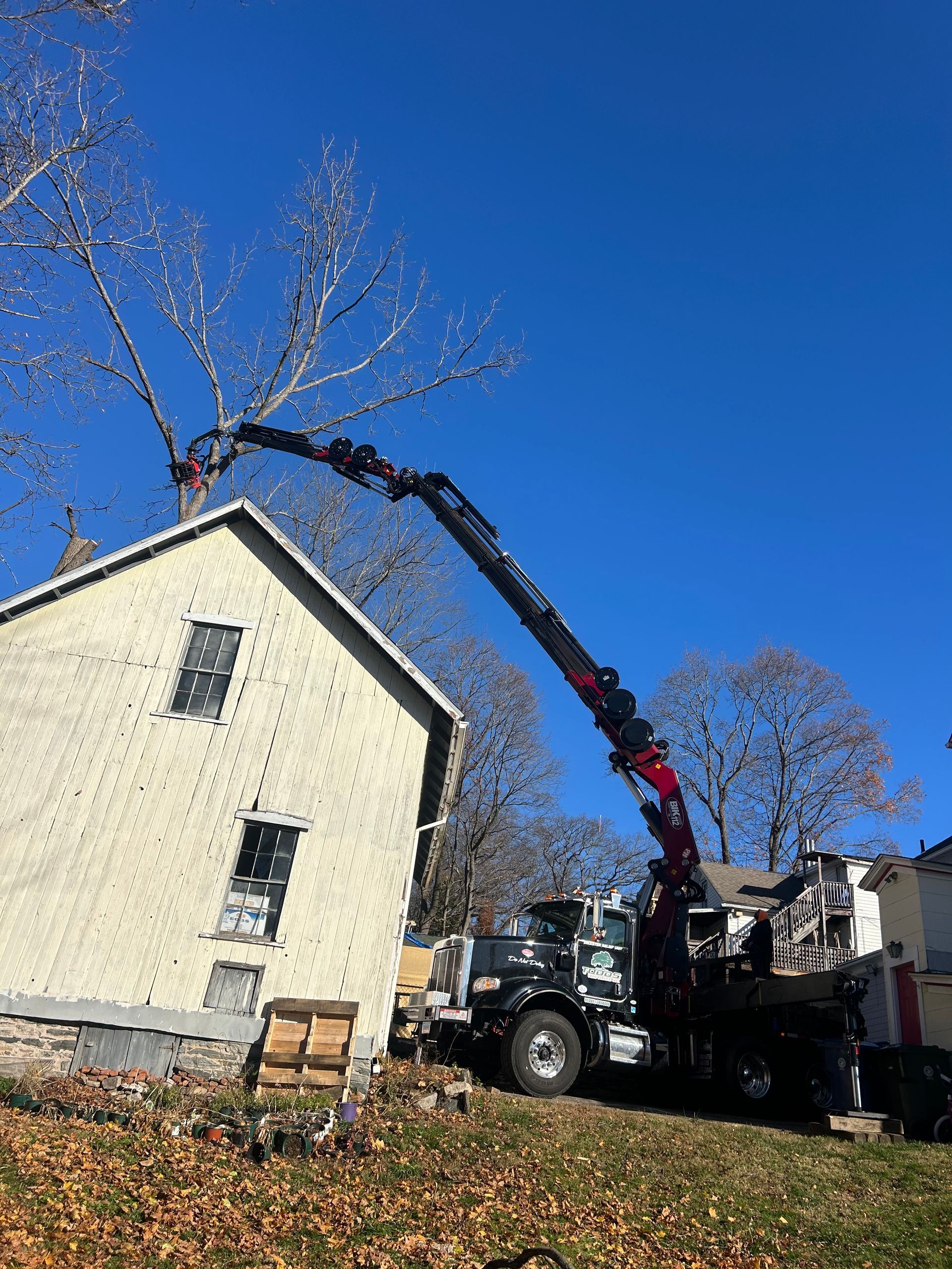 Tree worker trimming branches near a cream house under a clear blue sky