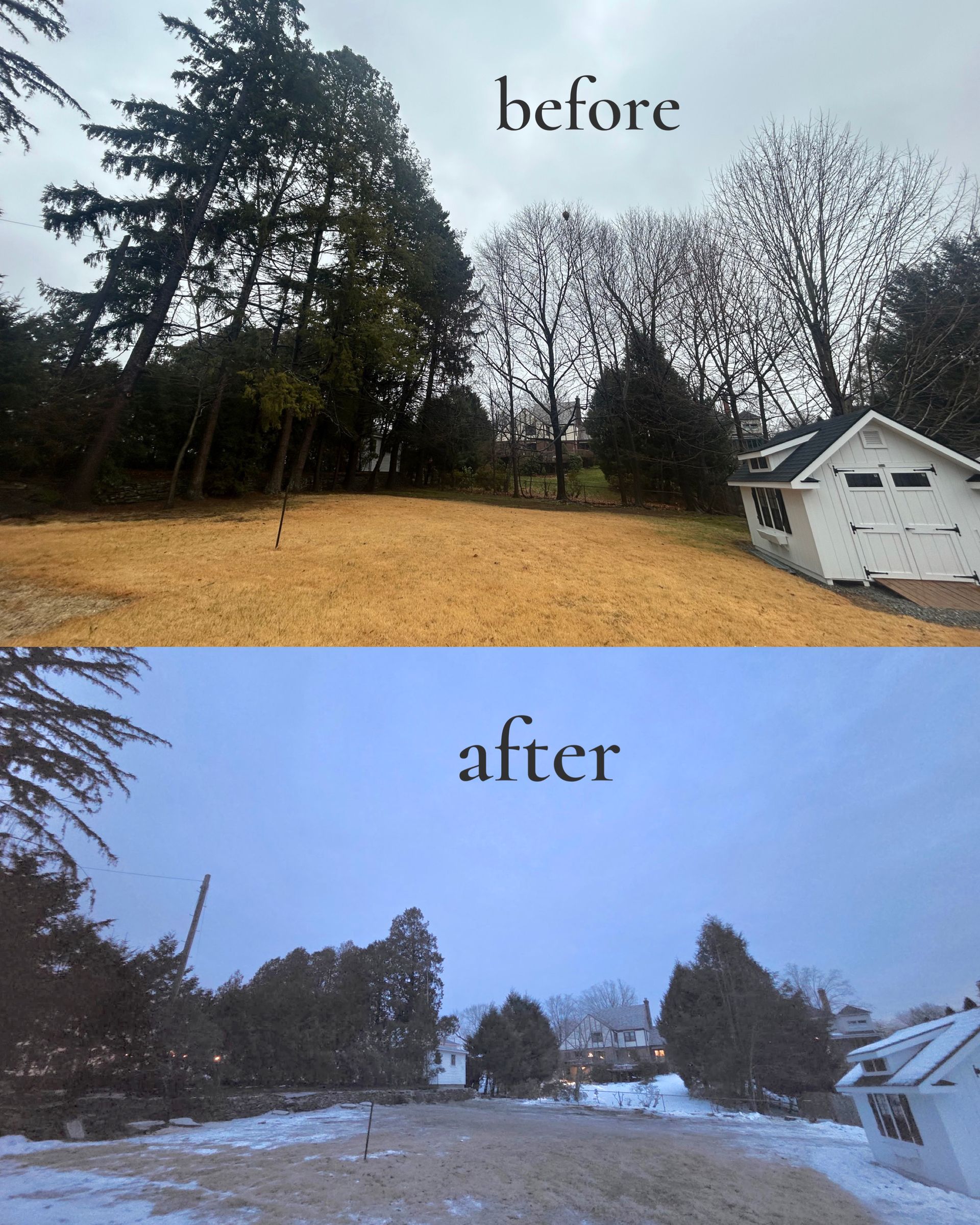 Before and after yard photos showing trimmed trees and cleared winter ground near a white house.