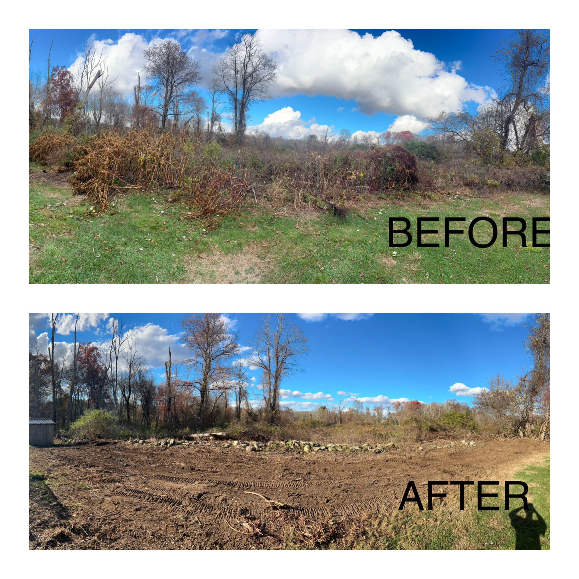 Before-and-after landscape of a cleared brushy lot under a blue sky, labeled “BEFORE” and “AFTER”