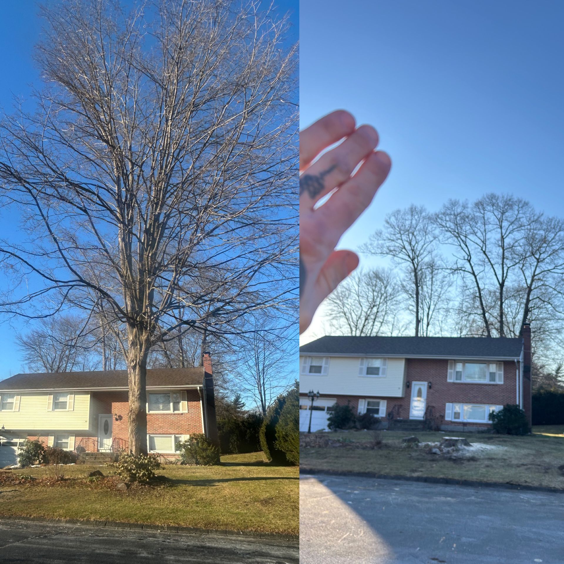 Split view of a suburban house with a leafless tree, blue sky, and a hand partly blocking the right side.