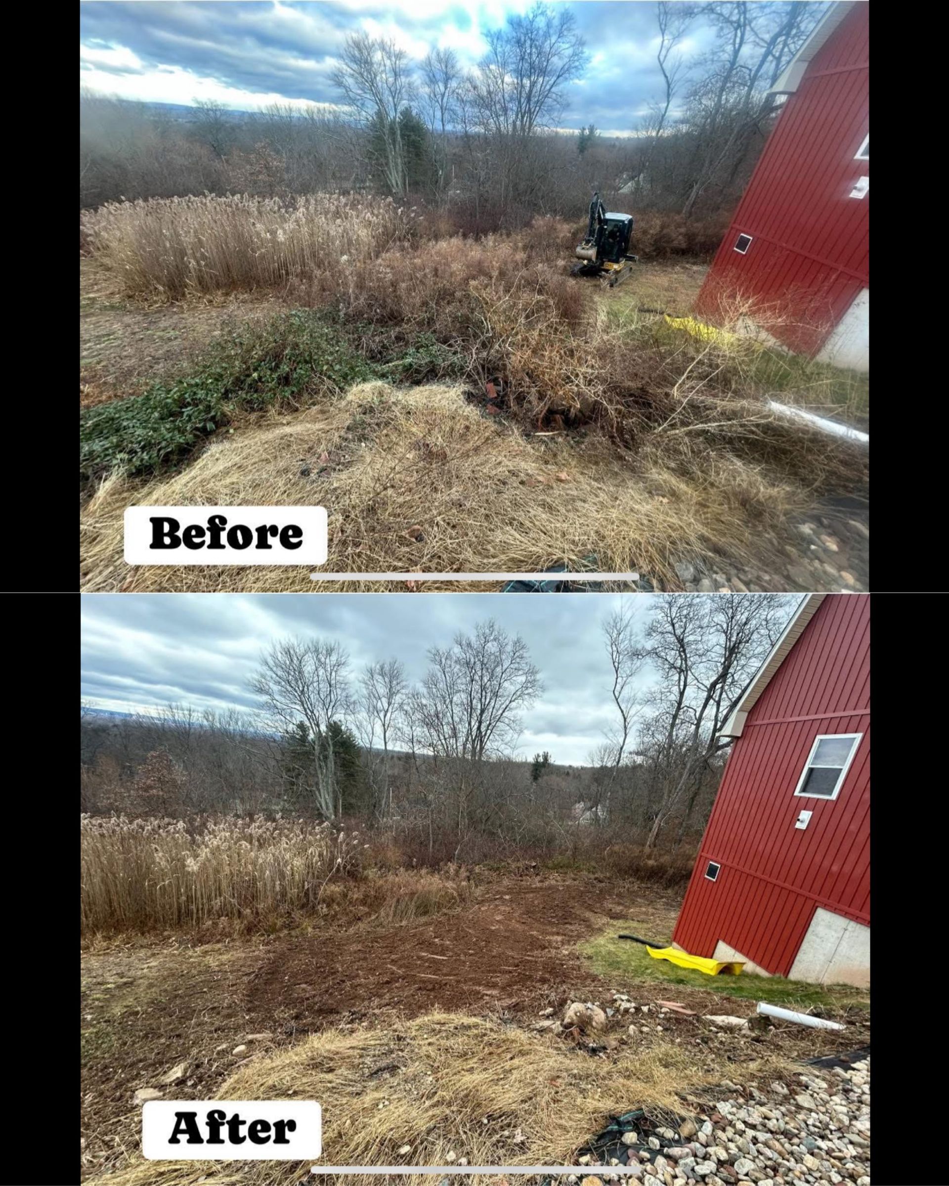Before-and-after yard cleanup beside a red house, showing overgrown brush cleared to bare ground.