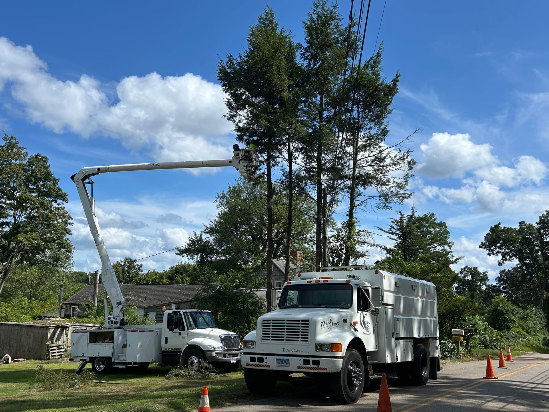 Utility trucks and a boom lift working near tall trees under a blue sky.