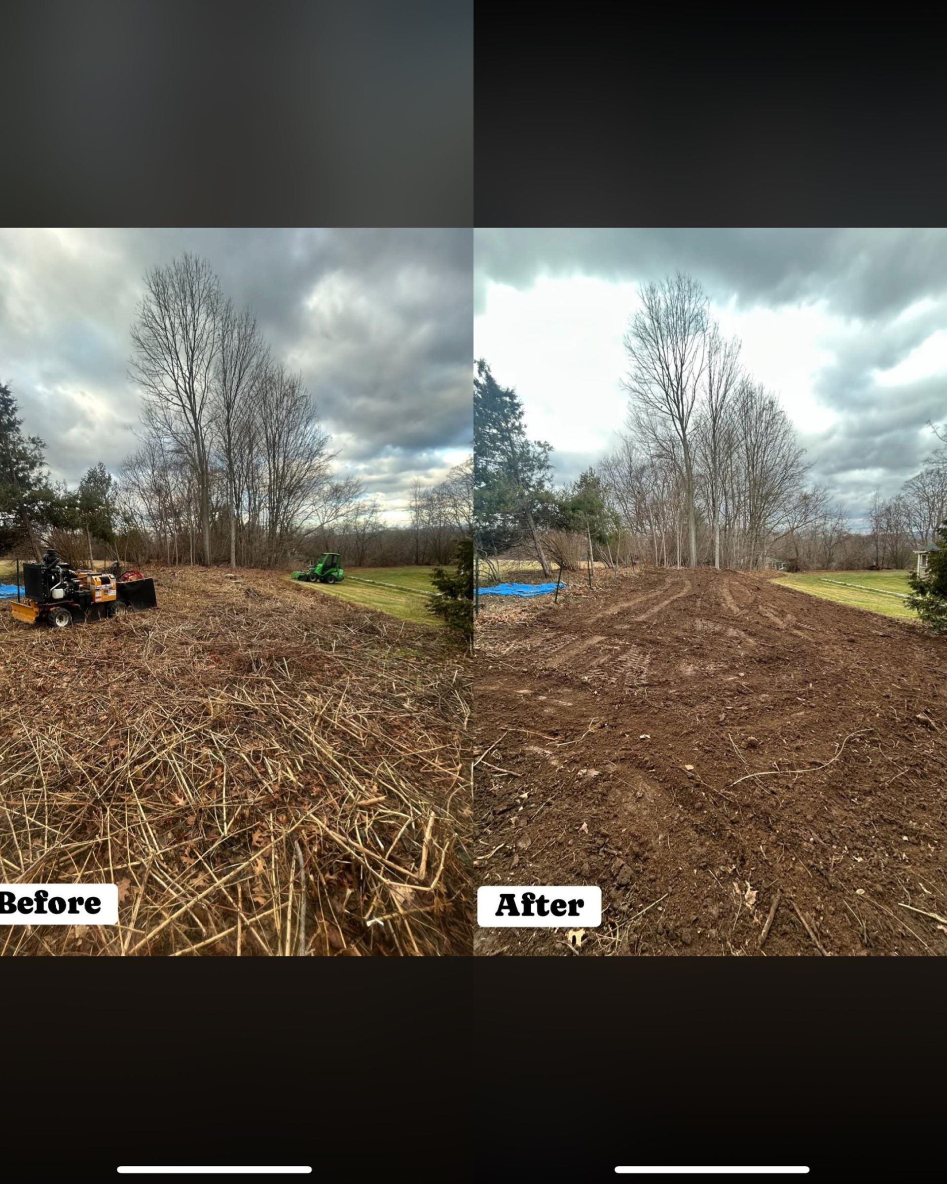 Before-and-after split view of a cleared wooded lot with brush piles and tree stumps under cloudy skies.