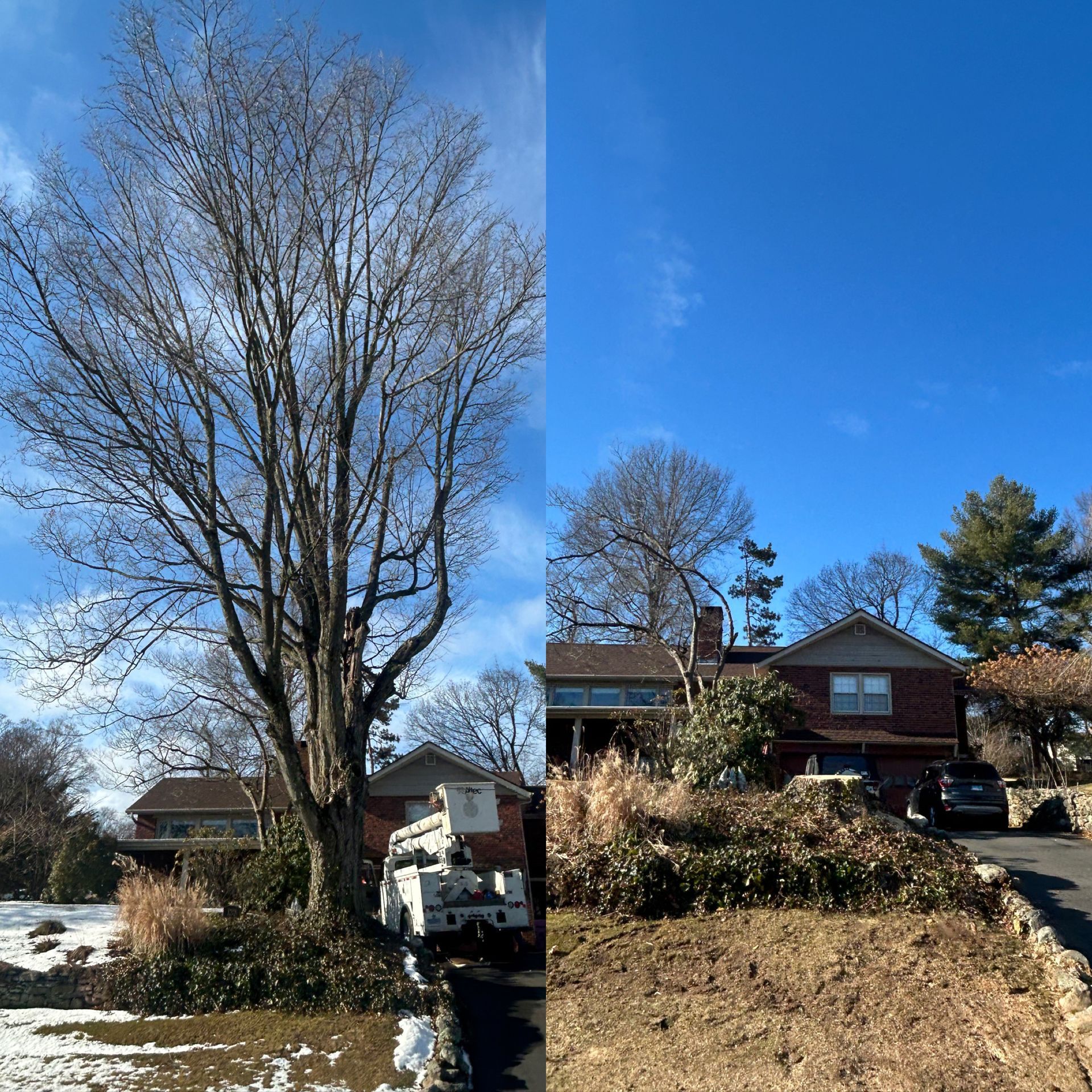 Snowy suburban yard with a large bare tree, house, and blue sky.