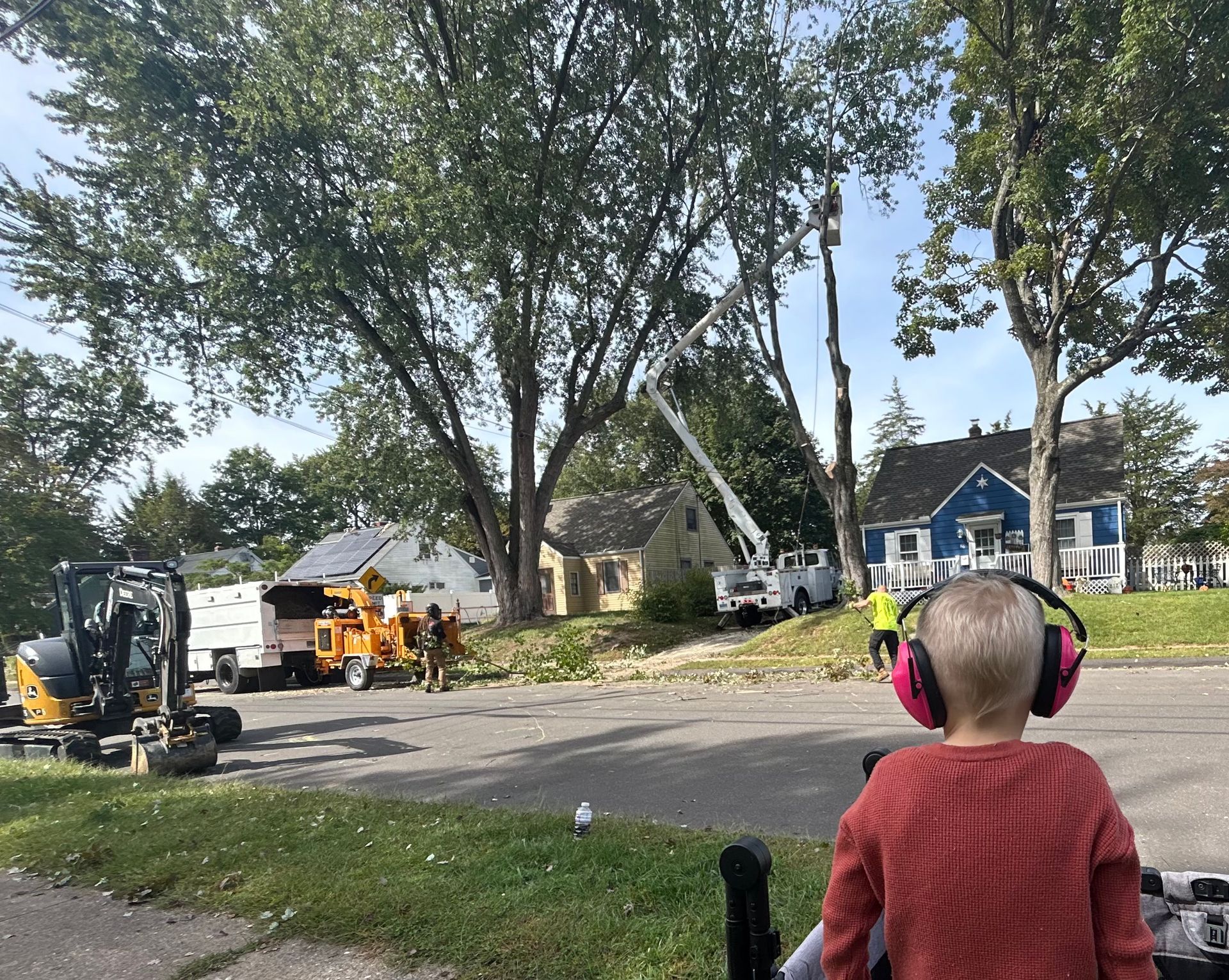 Workers and excavators clearing a tree-lined residential street, with a child wearing earmuffs in the foreground