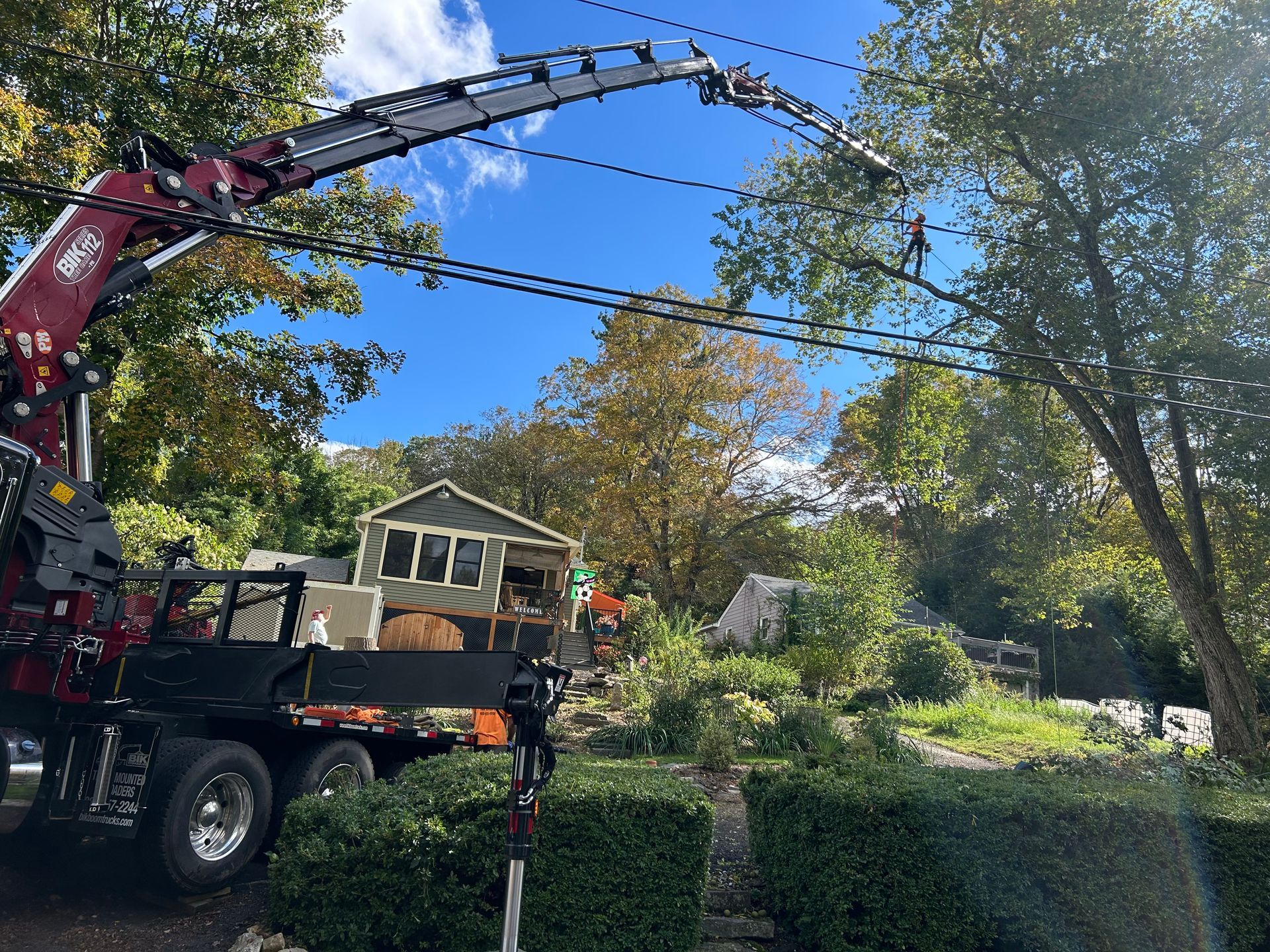 Tree-trimming crane beside a house, with workers pruning large branches over a leafy yard.