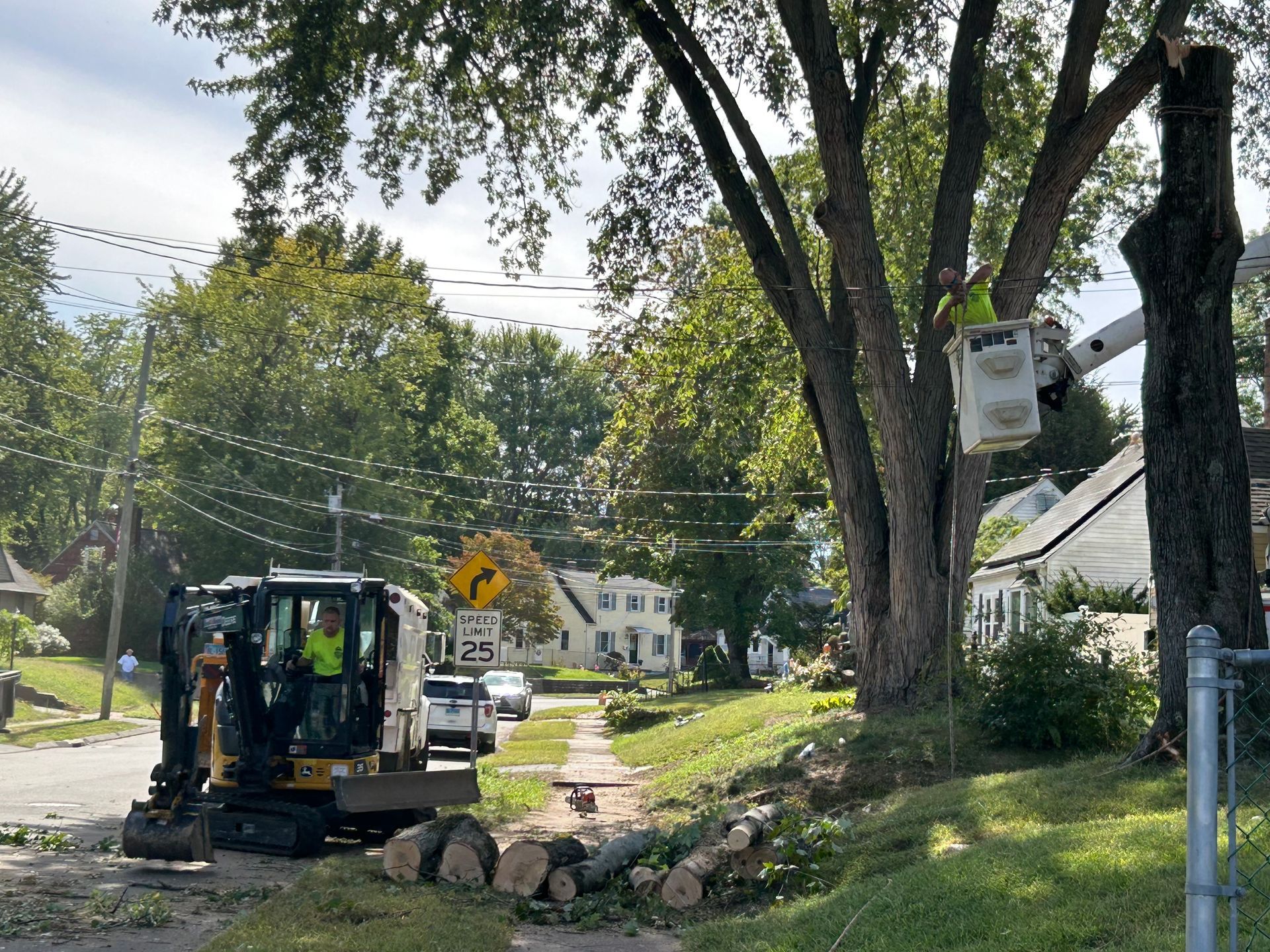 Utility truck and backhoe digging along a tree-lined residential street beside a sidewalk