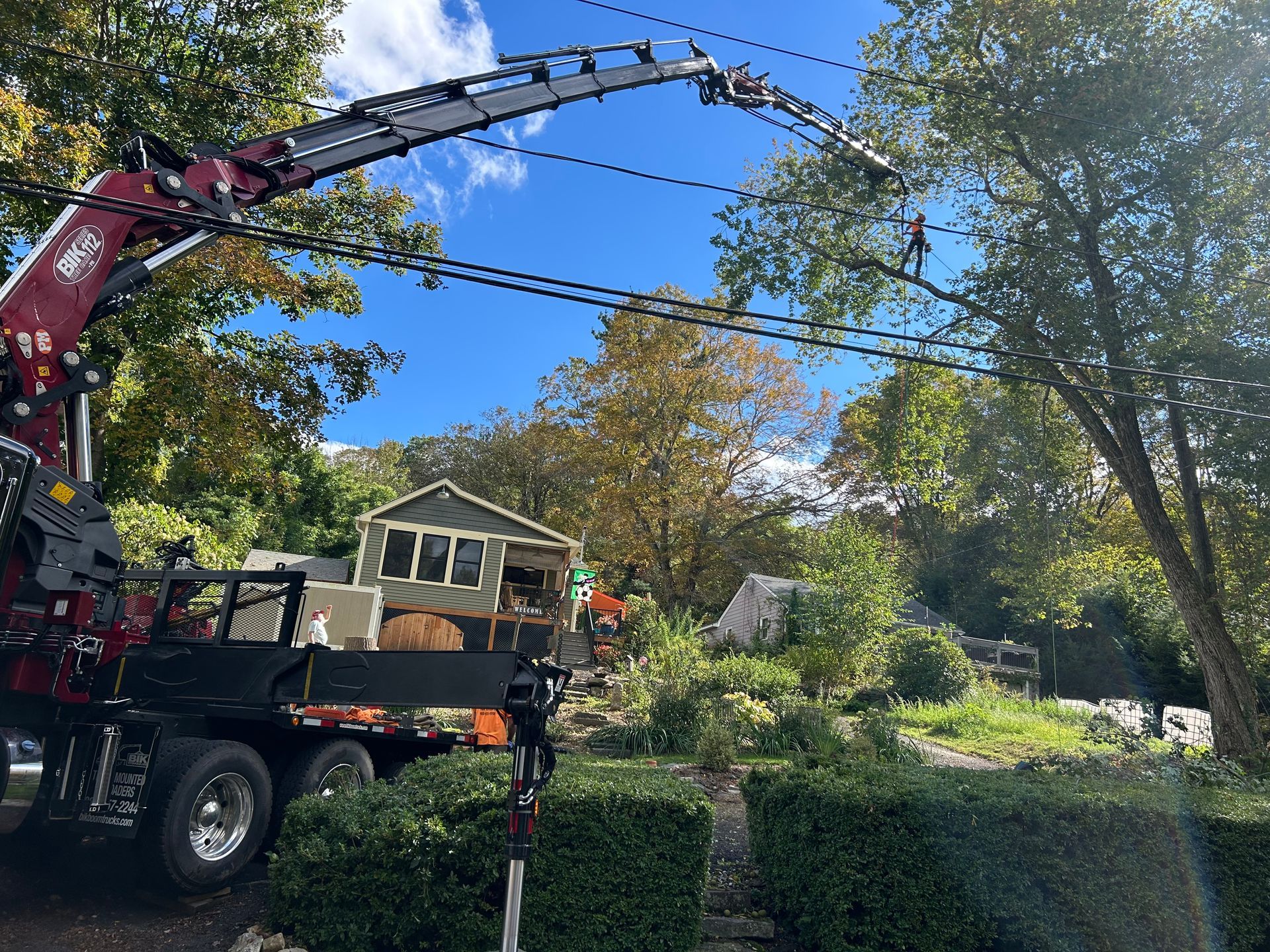 Tree crew trimming branches with a crane truck in a residential yard.