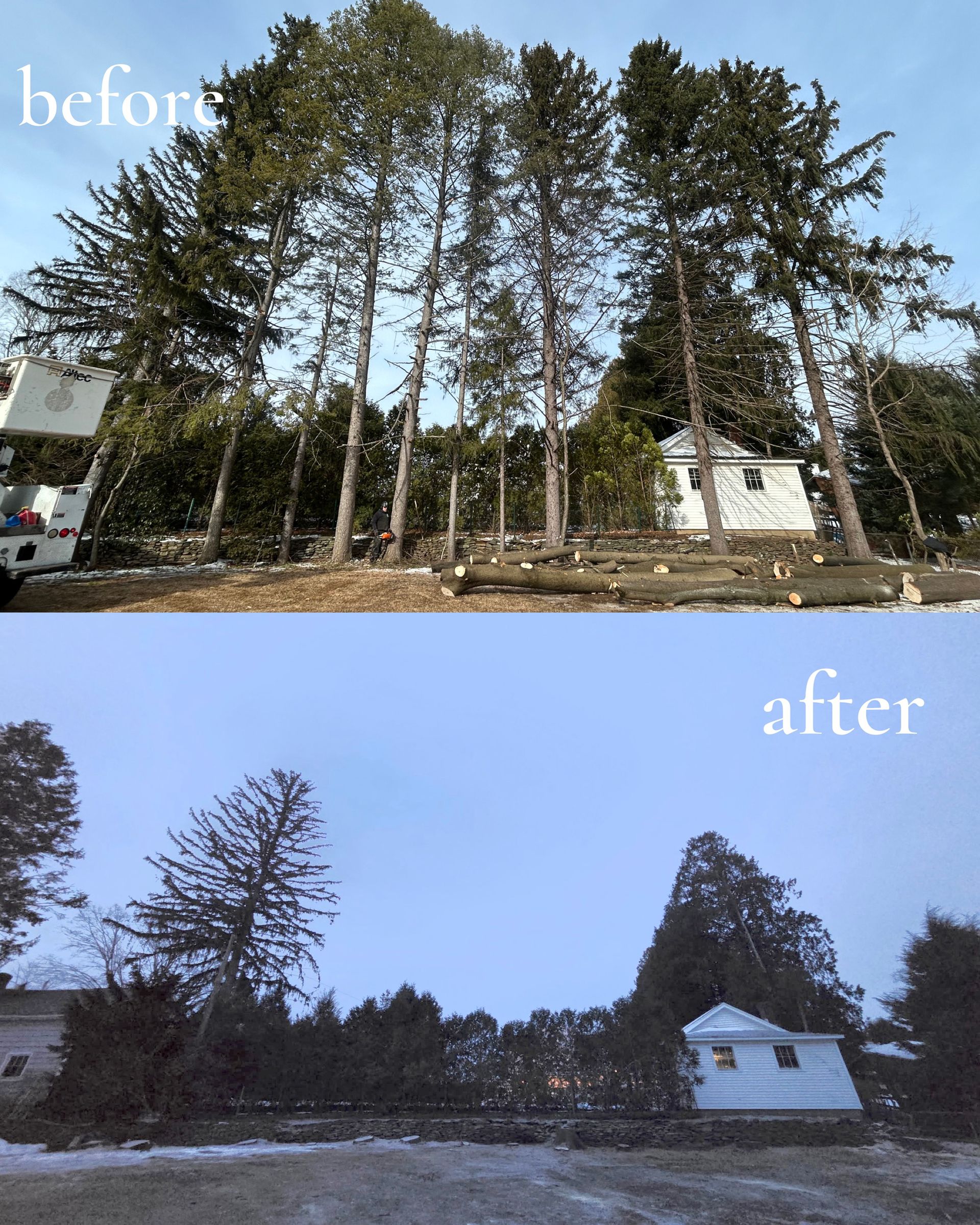 Before-and-after of a cleared wooded lot with a white house under a blue sky
