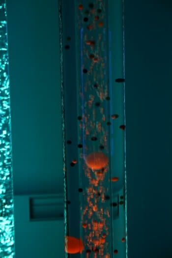 Two illuminated bubble tubes stand vertically in a dark room; one glows bright blue and the other contains red-tinted light.