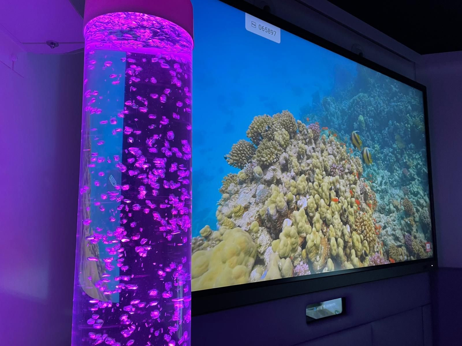 A purple bubble lamp stands next to a large screen displaying an underwater coral reef scene in a dimly lit room.