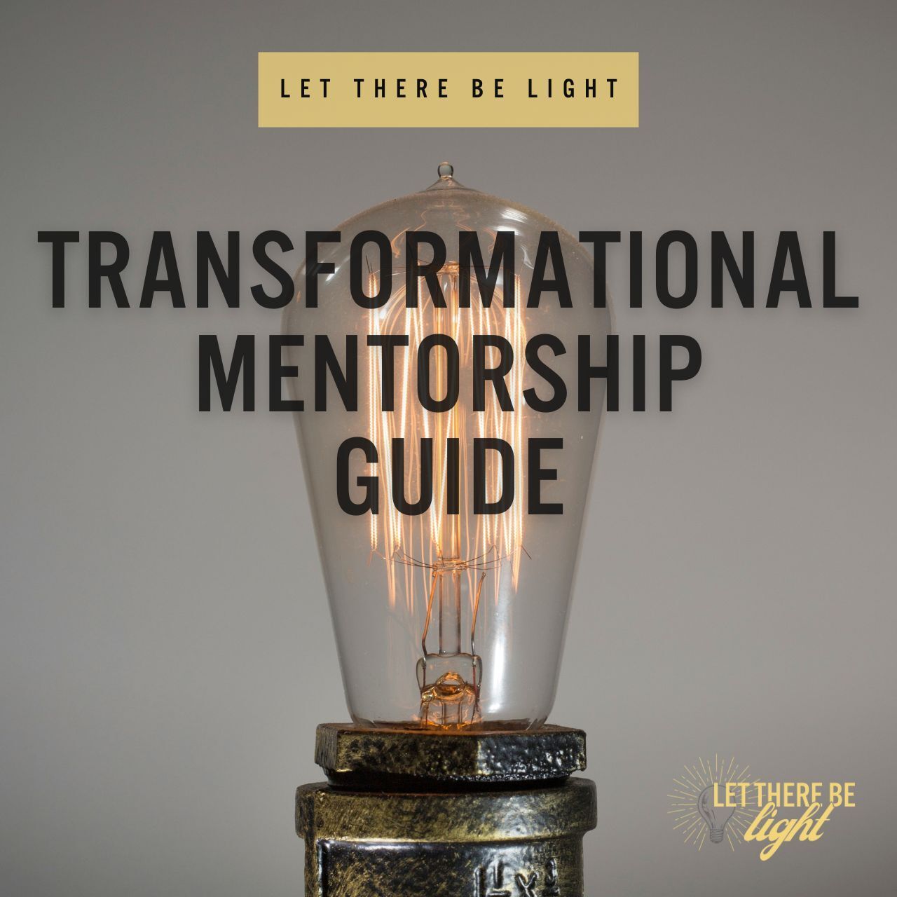 Transformational Mentorship Guide text over a glowing lightbulb on a gray background