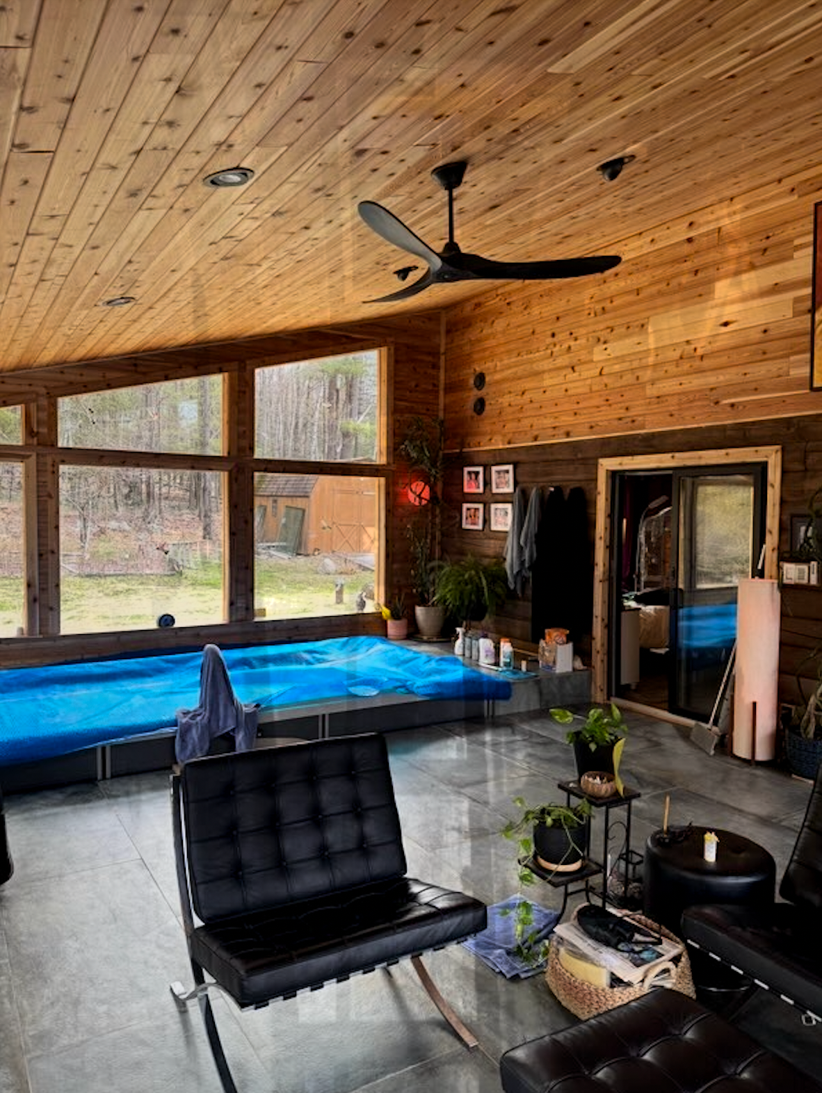Modern living room with wood ceiling, large windows, blue sofa, black chair, and ceiling fan