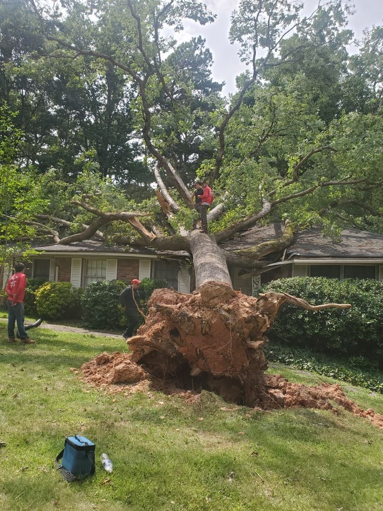 Post storm cleanup