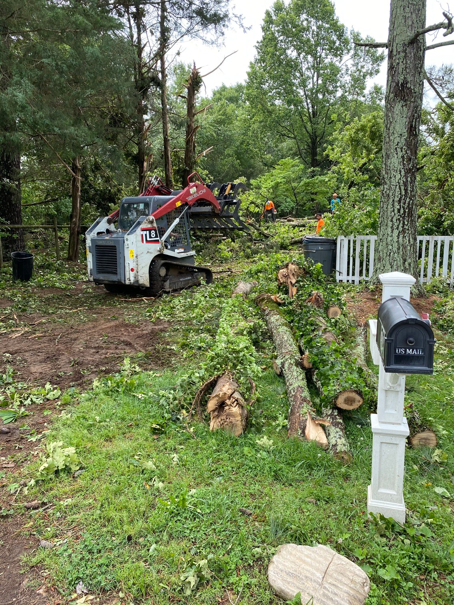 Tropical storm damage clean up