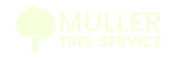Muller Tree