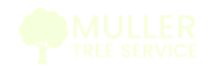 Muller Tree