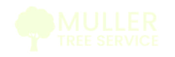 Muller Tree
