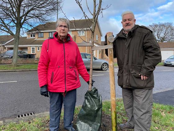 Tree planting in Brickhill