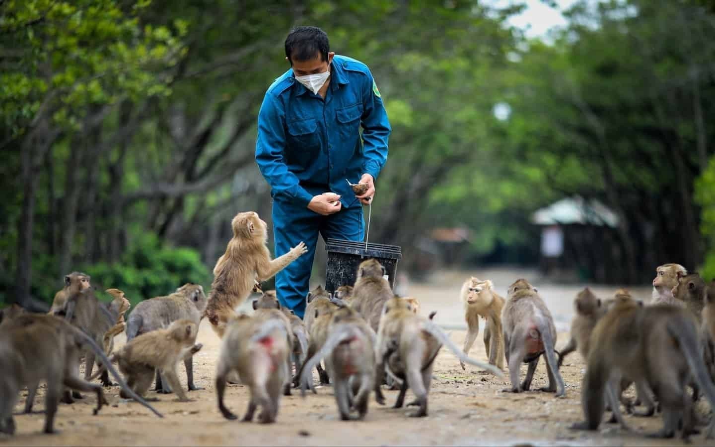 Can Gio monkey island with Travelmates