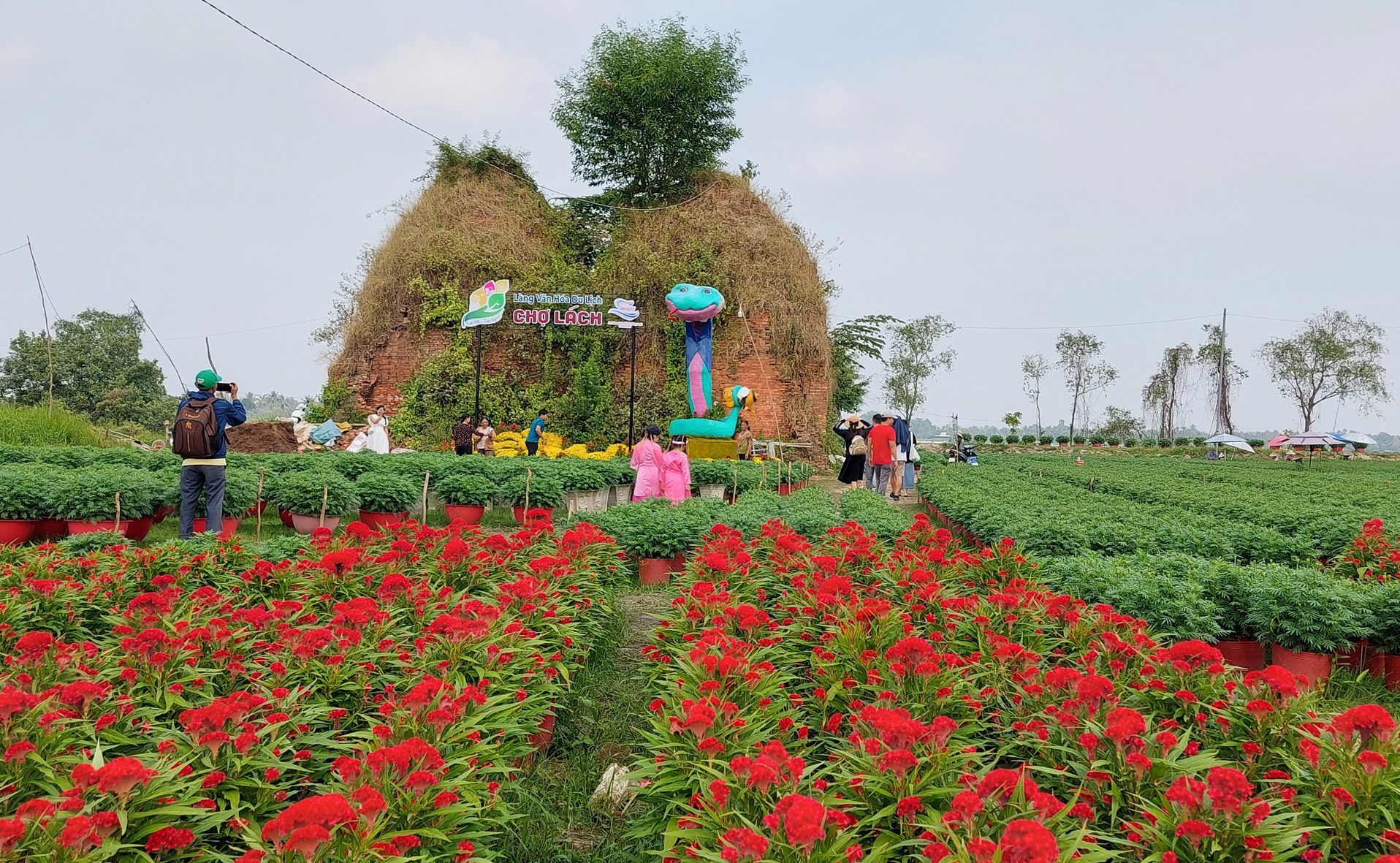 Flower festivals in Ben Tre