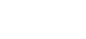 Blank white image with a light gray horizontal band near the top