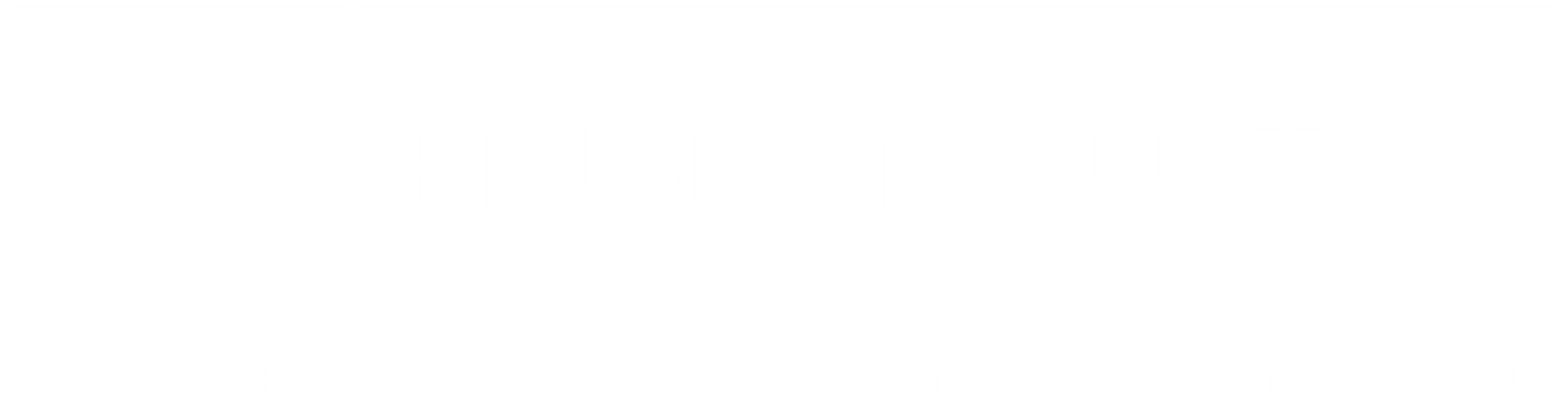 Thin horizontal black line centered on a white background