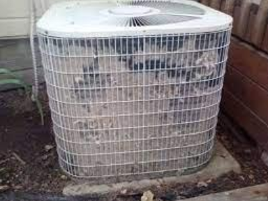 A1 Air Inc, Lindale TX, Tyler TX, Van TX, Edom TX, Murchison TX, Flint TX, Larue TX, Troup TX, Canton TX, Winona TX, Bullard TX, Chandler TX, Brownsboro TX, Whitehouse TX, Ben Wheeler TX, Hawkins TX, Big Sandy TX, Mineola TX, Noonday TX, Swan TX, Heating and AC Installation, Heating and AC Repairs, Heating and AC Replacement, Heating and AC Maintenance, Mini Splits, Blown-In Insulation, Air Conditioning Company, Air Conditioning Company Near Me, Air Conditioning Contractor, Air Conditioning Contractor Near Me, Air Conditioning Estimate, Air Conditioning Replacement, Air Conditioning Installation, Air Conditioning Repair, Air Conditioning Maintenance, Air Conditioner Upgrade, 24 HR Air Conditioning Company, Local Air Conditioning Company, Emergency Air Conditioning Service, AC Company, AC Company Near Me, AC Contractor, AC Contractor Near Me, AC Estimate, AC Replacement, AC Installation, Carrier AC Installation, Trane AC Installation, American Standard Installation, Ruud AC Installation, AC Repair, Carrier AC Repair, Trane AC Repair, American Standard AC Repair, Ruud AC Repair, AC Maintenance 30, AC Upgrade, AC Systems, 24 HR AC Company, After Hours AC Service, Local AC Company, Emergency AC Service, Residential AC Installations, Heating Company, Heating Company Near Me, Heating Contractor, Heating Contractor Near Me, Heating Estimate, Heating Replacement, Heating Installation, Heating Repair, Heating Maintenance, Heater Upgrade, Heating Systems, Residential Heater Installations, Heating and Air Conditioning Service, Heating and Air Conditioning Company, Heating and Air Conditioning Company Near Me, Heating and Air Conditioning Contractor, Heating and Air Conditioning Contractor Near Me, Heating and Air Conditioning Estimate, Heating and Air Conditioning Replacement, Heating and Air Conditioning Installation, Heating and Air Conditioning Repair, Heating and Air Conditioning Maintenance, Furnace Repair, Furnace Installation, Heat pump Repair, Heat Pump Installation, Heat Pump Installation, HVAC Company Near Me, HVAC Contractor, HVAC Contractor Near Me, HVAC Replacement, HVAC Installation, HVAC Repair, HVAC Maintenance, Residential HVAC Installations, New Construction Air Conditioning System, New Construction AC System, New Construction Heating System, Lindale Heating & Air, East Texas Heating & Air, Tyler Heating & Air, Flint Heating & Air, Troup Heating & Air, Canton Heating & Air, Winona Heating & Air, Bullard Heating & Air, Brownsboro Heating & Air, Whitehouse Heating & Air, Ben Wheeler Heating & Air, Hawkins Heating & Air, Big Sandy Heating & Air, Mineola Heating & Air, Noonday Heating & Air, Swan Heating & Air, Mini Split System Installation, Mini Split Repair, Samsung Mini Split Repair, Gree Mini Split Repair, Mini Split Service, Ductwork, Flex Duct, Duct Repair, Duct Installation, Round Metal Duct, Ducting Repair, Ventilation Services, Vent Hood Installation, Bathroom Exhaust Installation, Kitchen Exhaust Installation, Air Duct Installation, Air Duct Repair, Attic Insulation, Attic Insulation Company, Attic Insulation Company Near Me, Attic Insulation Contractor, Attic Insulation Contractor Near Me, Attic Insulation Installation, Loose Fill Blown-In Insulation, Blown-In Insulation