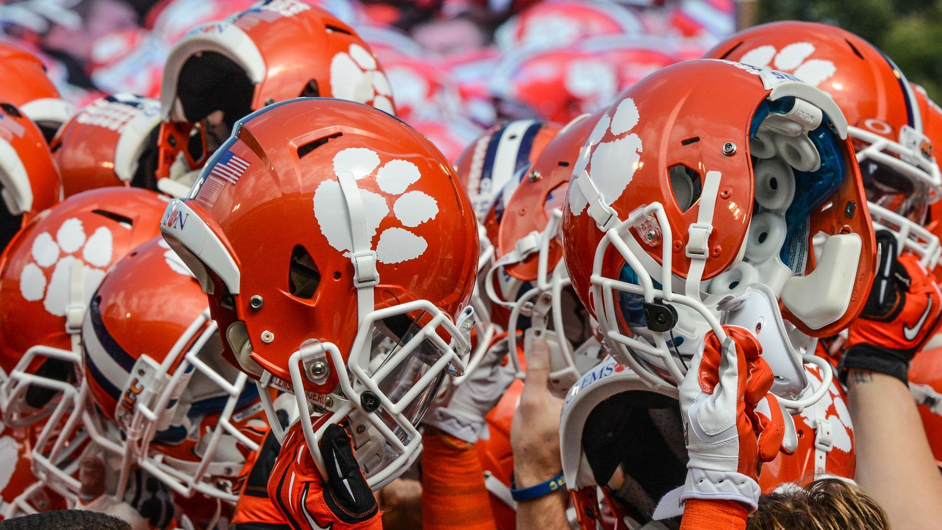 Clemson Univ Fans