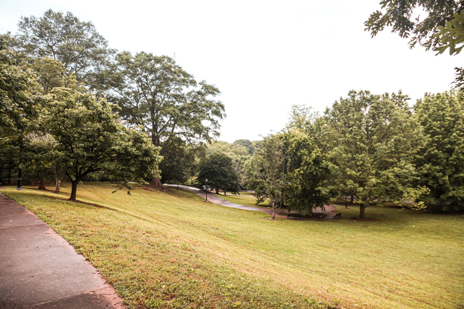Grassy park with trees. A paved path follows the slope of the hill. Overcast sky.