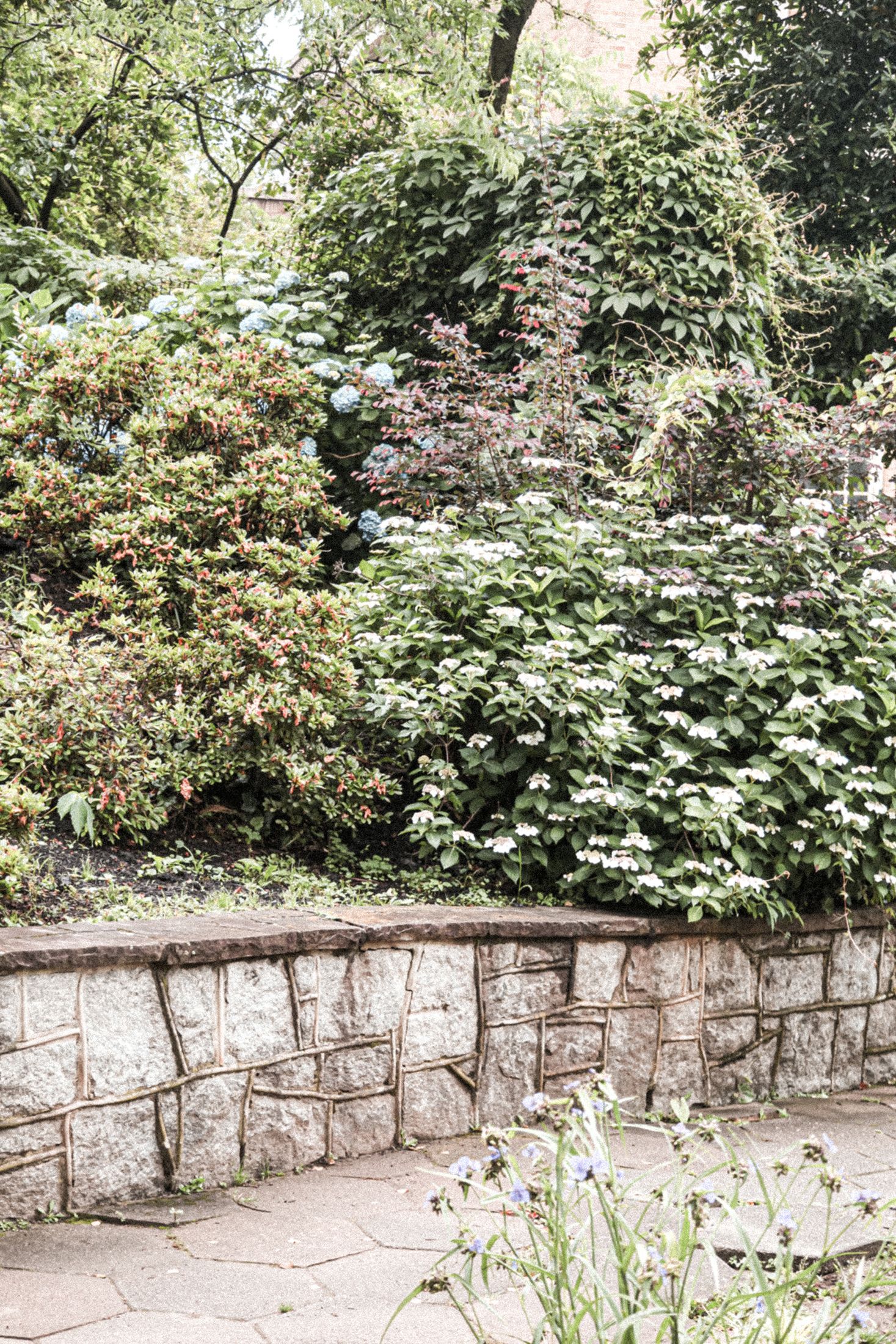 Stone wall with greenery, brick structure covered in vines and bushes, and a path.