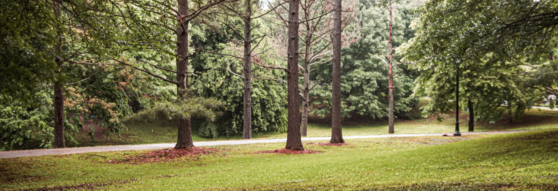 Park scene with a paved path winding past trees and a grassy area under a cloudy sky.