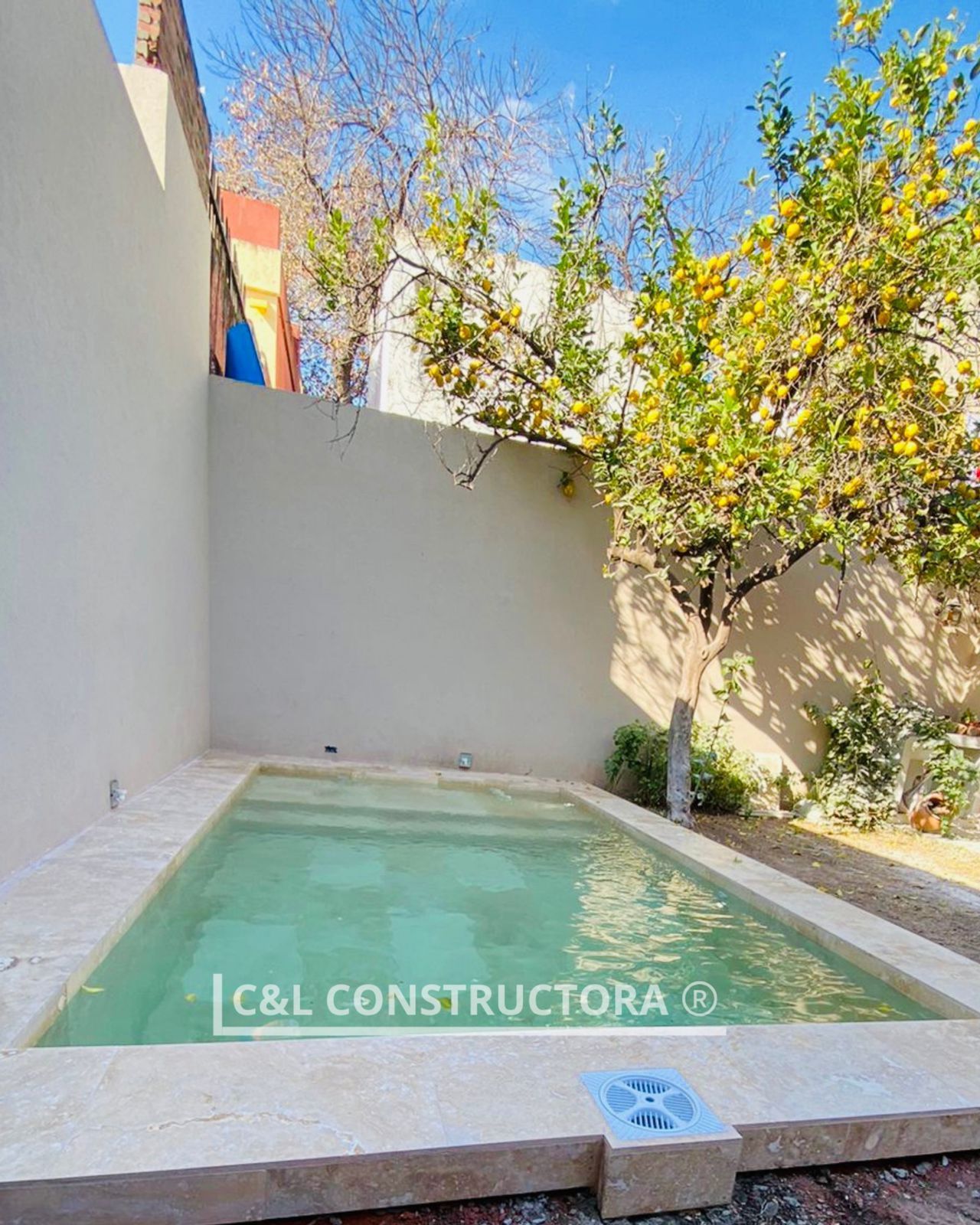 Pequeña piscina rectangular de agua verde claro, borde de piedra beige, bajo un árbol con frutos amarillos