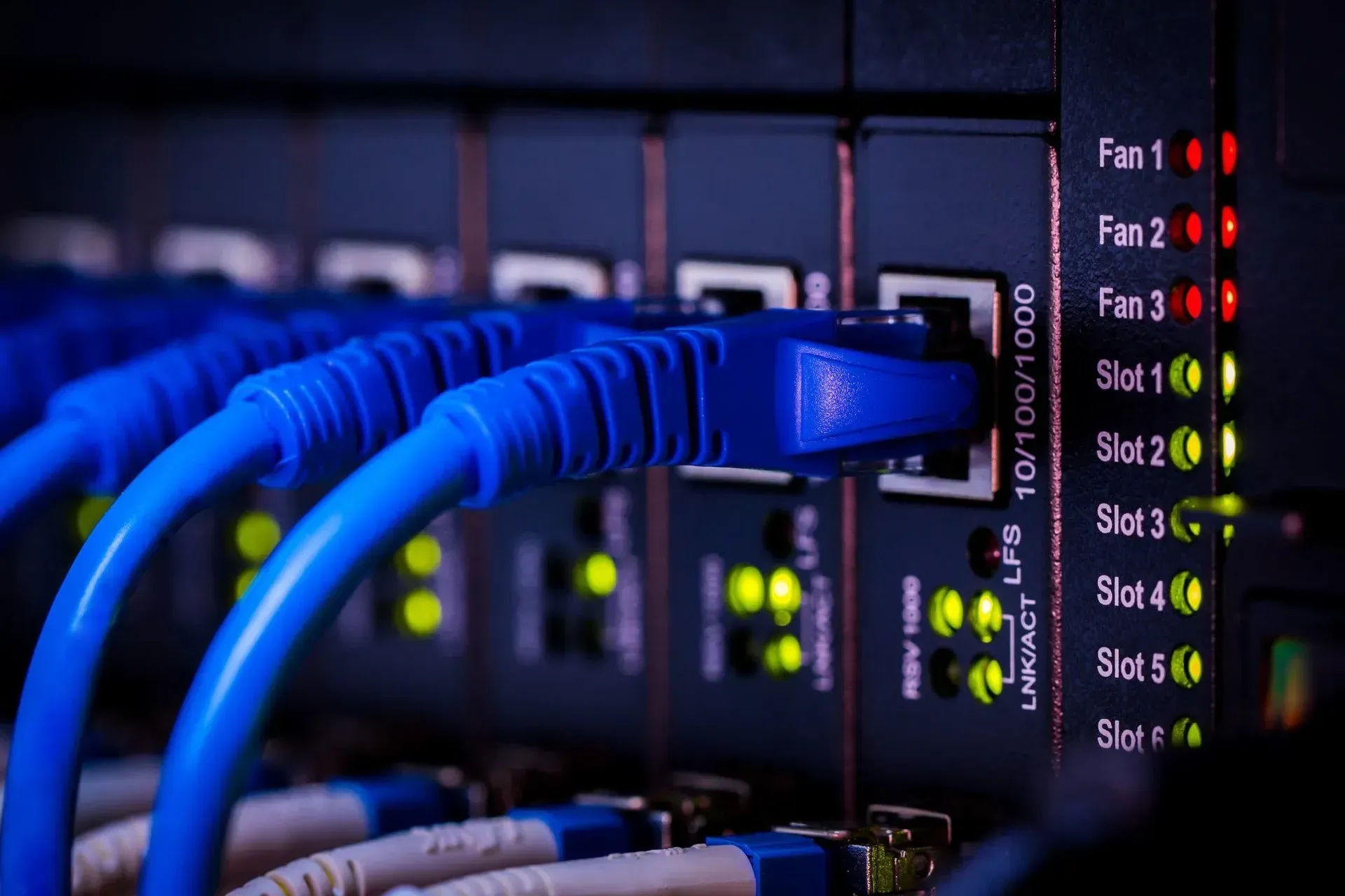 Close-up of a Server Rack With Multiple Blue Ethernet Cables Plugged — CH Electrics in Emerald, QLD