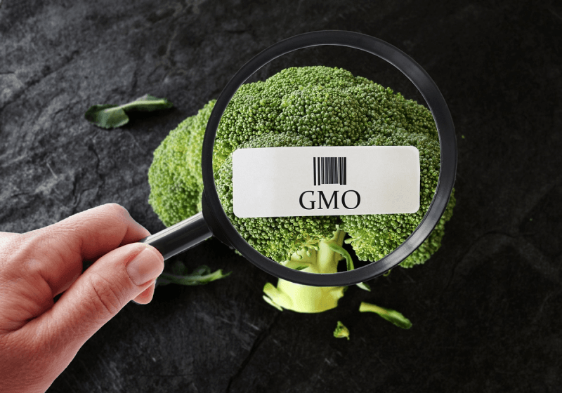 gene-edited tomato