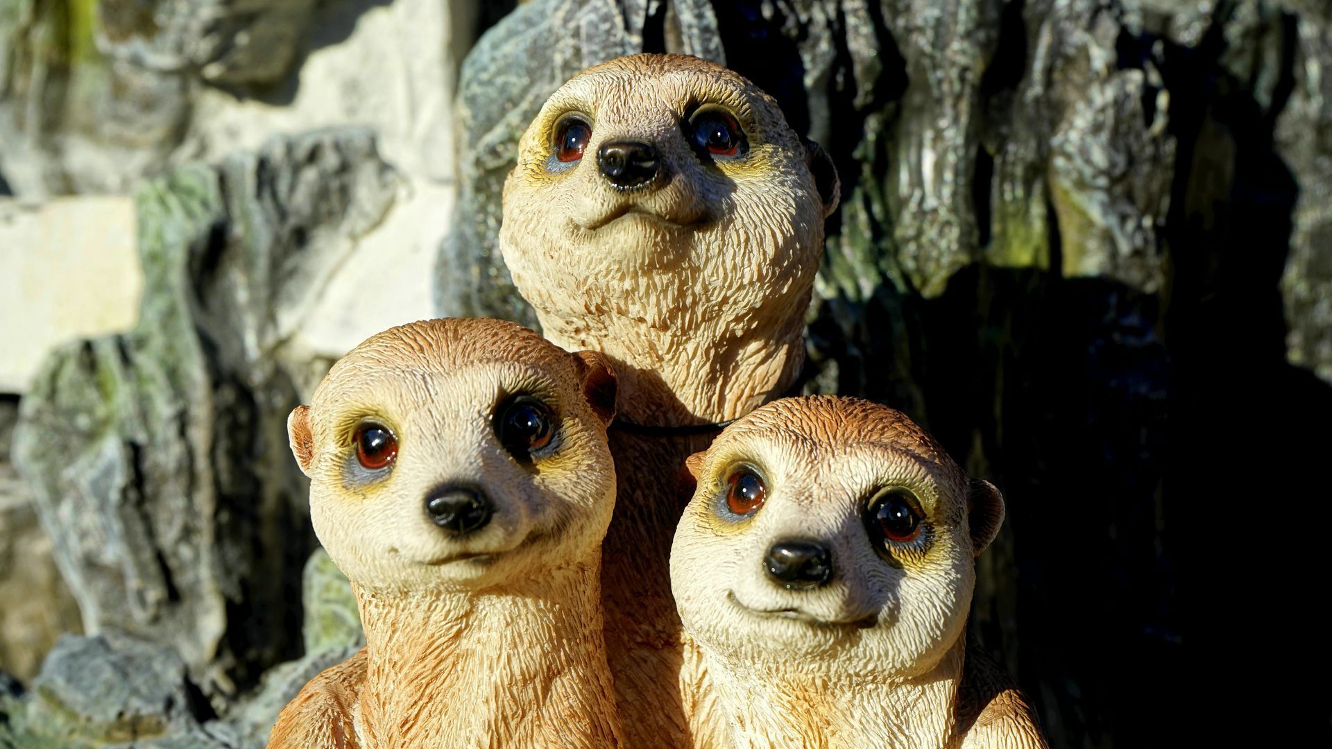 Three light-brown meerkat figurines with attentive expressions, huddled together against a textured gray rock background.
