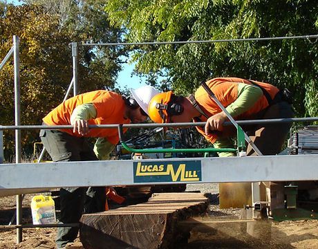 Custom Milling — Calistoga, CA — Pacific Tree Care