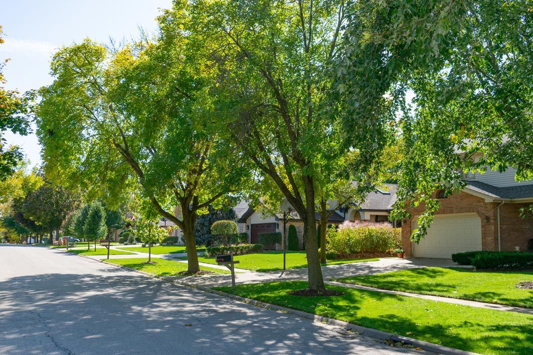 Trees In Residential — Calistoga, CA — Pacific Tree Care