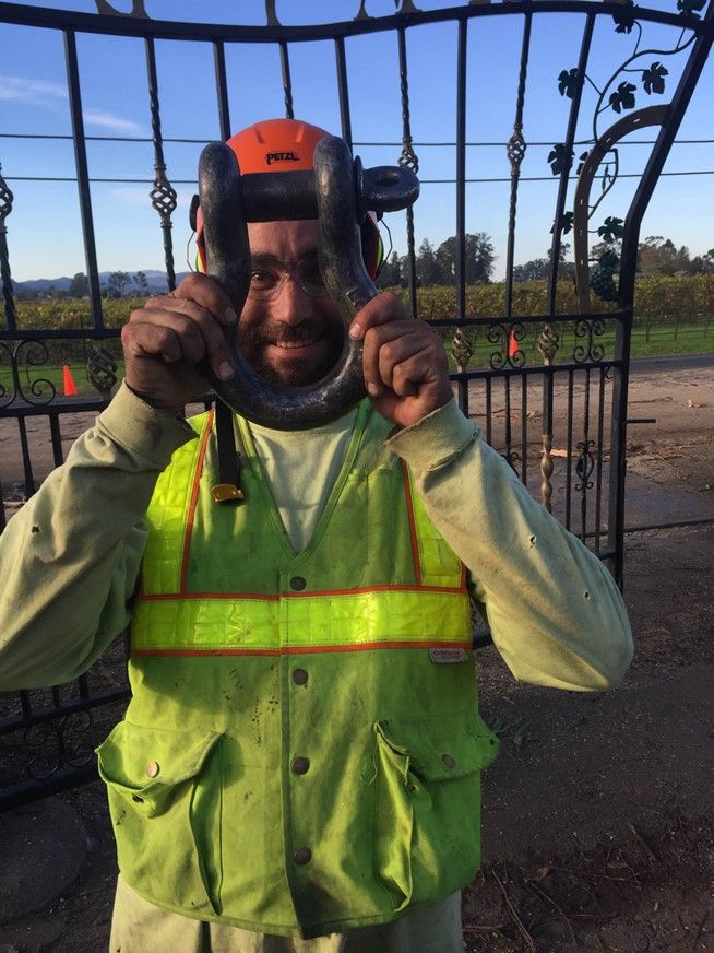 Man Holding Shackle — Calistoga, CA — Pacific Tree Care