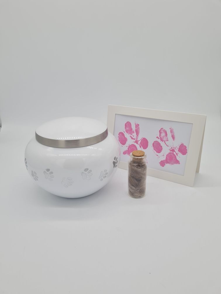White Pet Urn, Paw Print Frame, and a Small Glass Vial With Contents — Furever Pet Cremations in Rockhampton, QLD