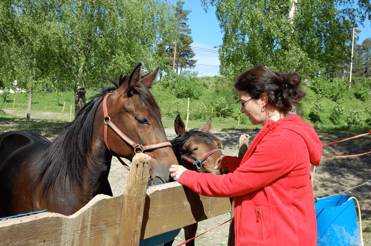 En kvinne i rød jakke klapper to hester bak et tregjerde.