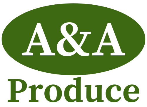 a&a logo
